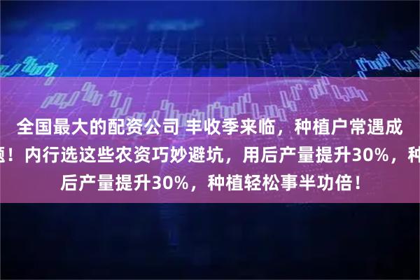 全国最大的配资公司 丰收季来临，种植户常遇成本高、产量低难题！内行选这些农资巧妙避坑，用后产量提升30%，种植轻松事半功倍！