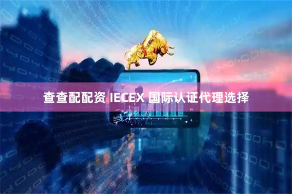 查查配配资 IECEX 国际认证代理选择