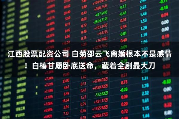 江西股票配资公司 白菊邵云飞离婚根本不是感情！白椿甘愿卧底送命，藏着全剧最大刀