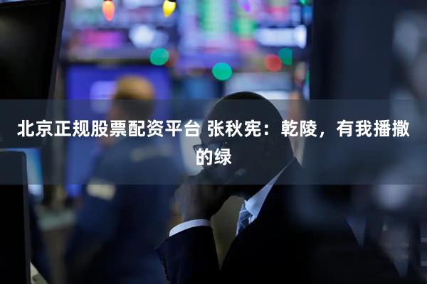 北京正规股票配资平台 张秋宪：乾陵，有我播撒的绿