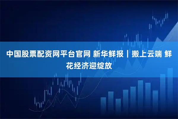 中国股票配资网平台官网 新华鲜报｜搬上云端 鲜花经济迎绽放